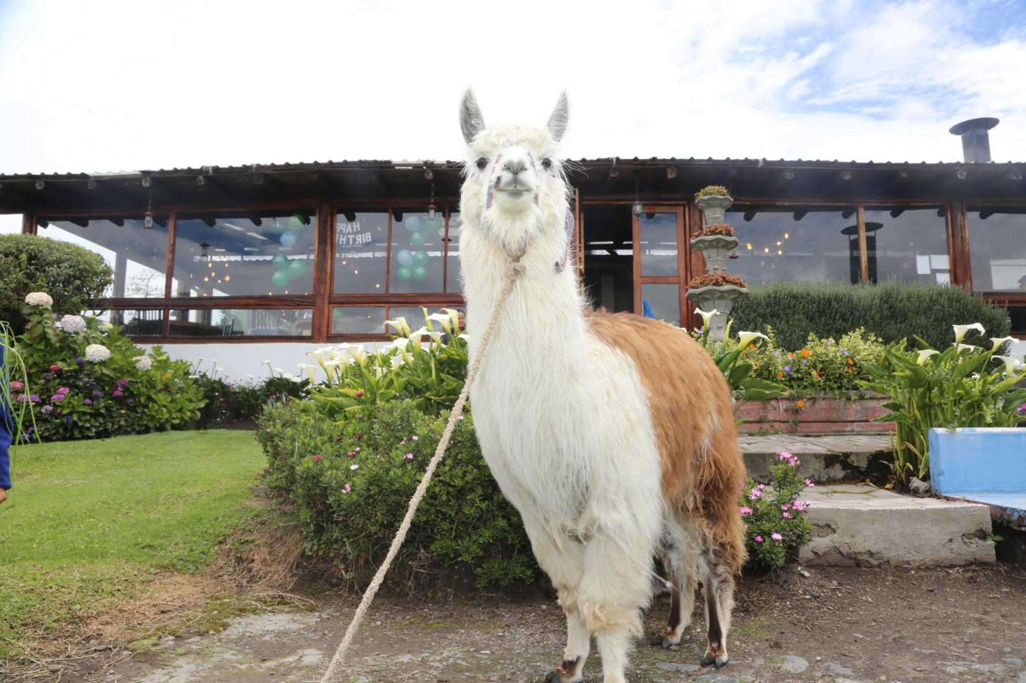 Hacienda El Rejo Villa Machachi Luaran gambar