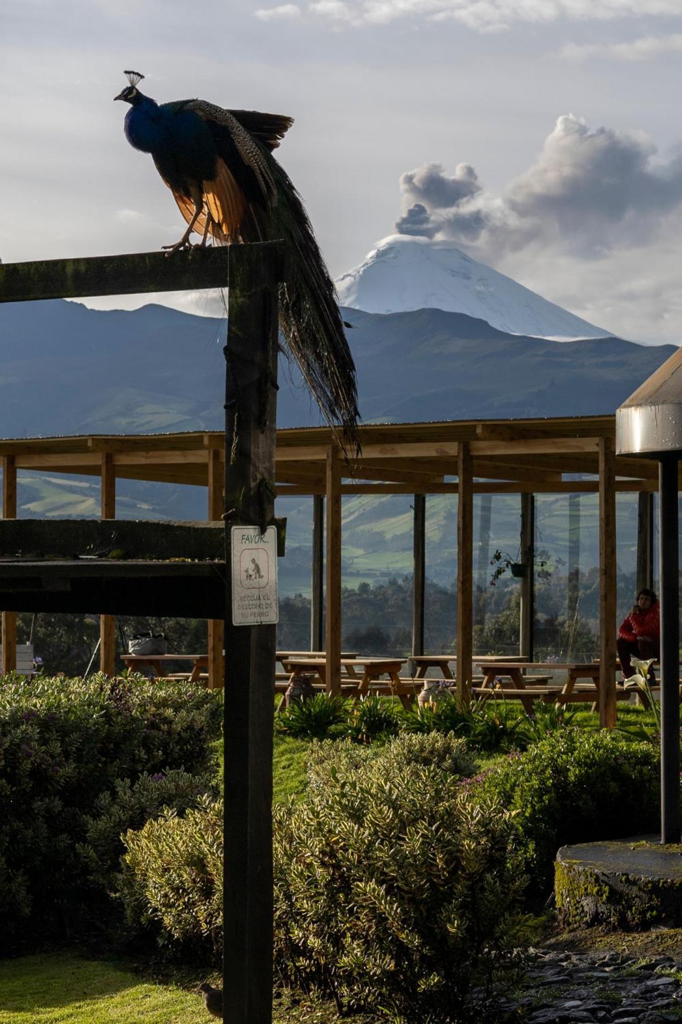 Hacienda El Rejo Villa Machachi Luaran gambar